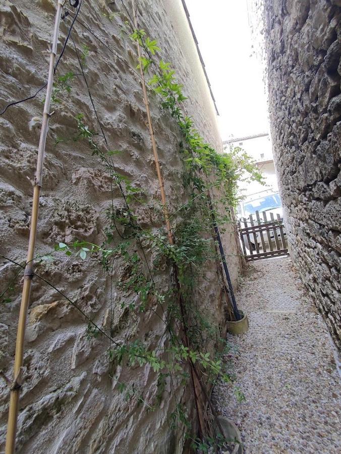 Il Fait Bon Vivre Classe 3 Etoiles Montcuq Dış mekan fotoğraf